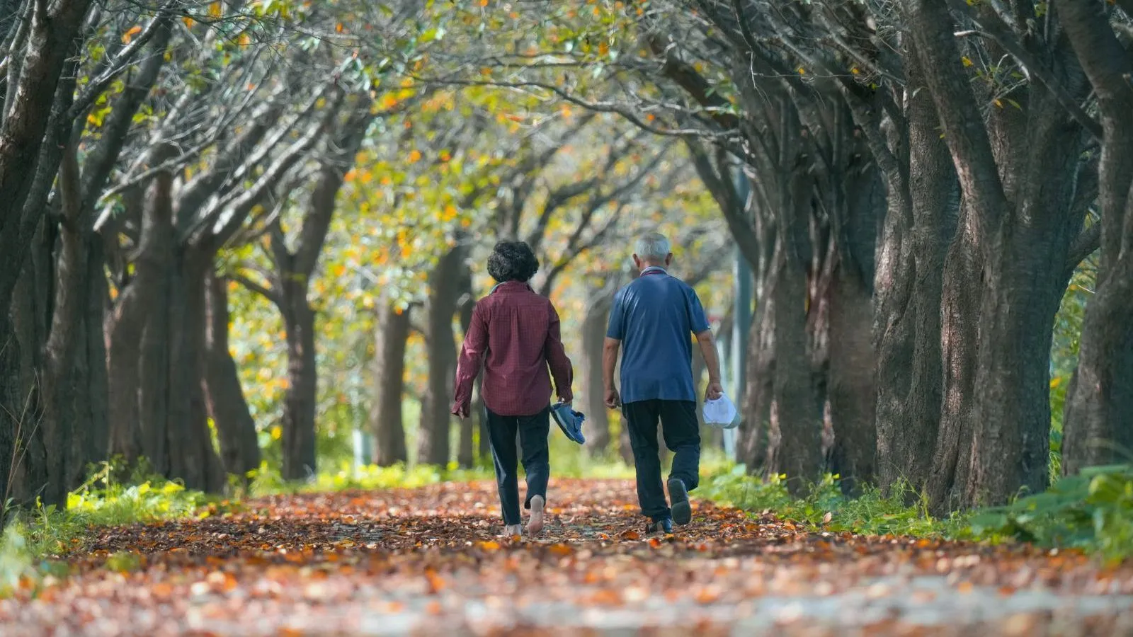 Two older adults walking briskly away from the camera along a leaf-covered path lined with trees.