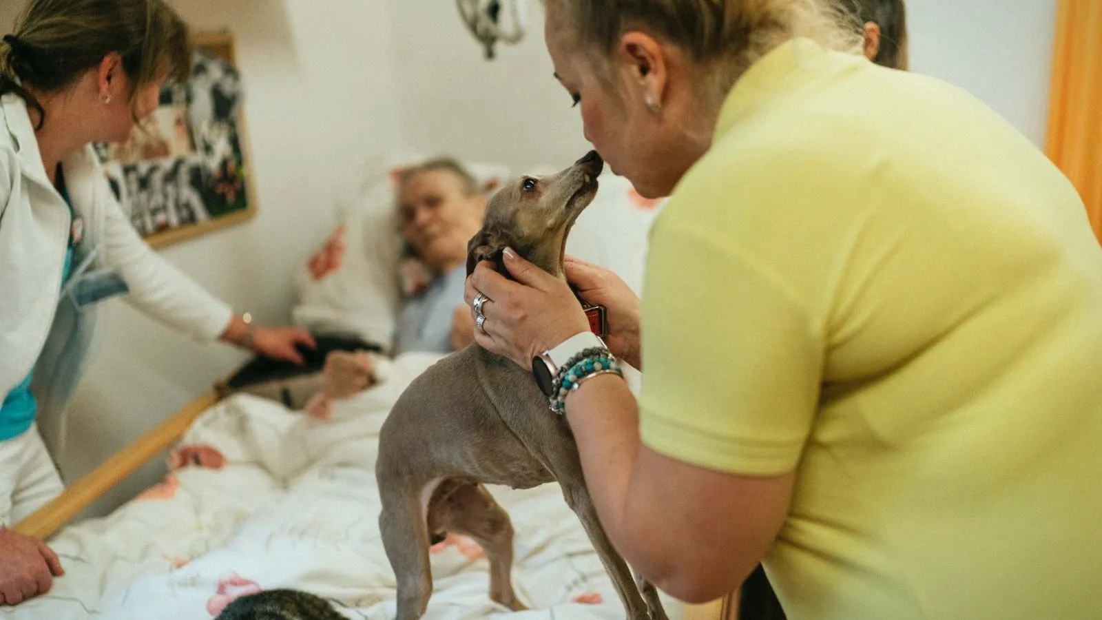 A carer in a yellow polo shirt lifting a small grey dog toward an older person lying in a care-home bed, with a second carer at the bedside