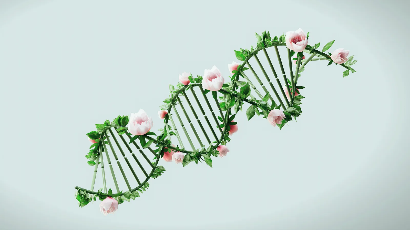 An illustration of a DNA double helix made of green stems, leaves and pink flowers
