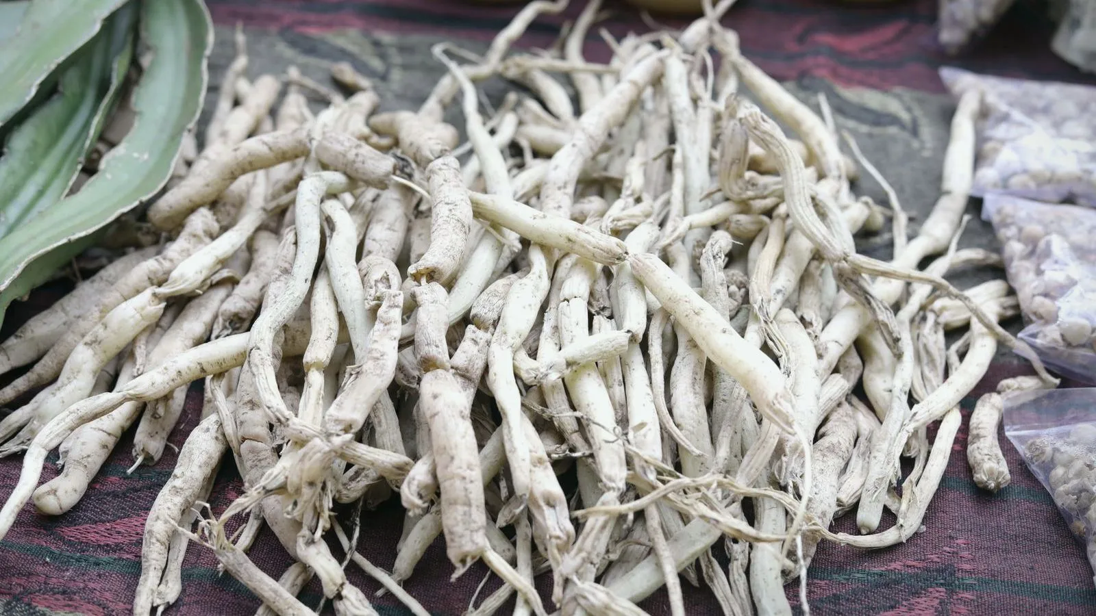 A heap of pale dried ashwagandha roots on a patterned market cloth