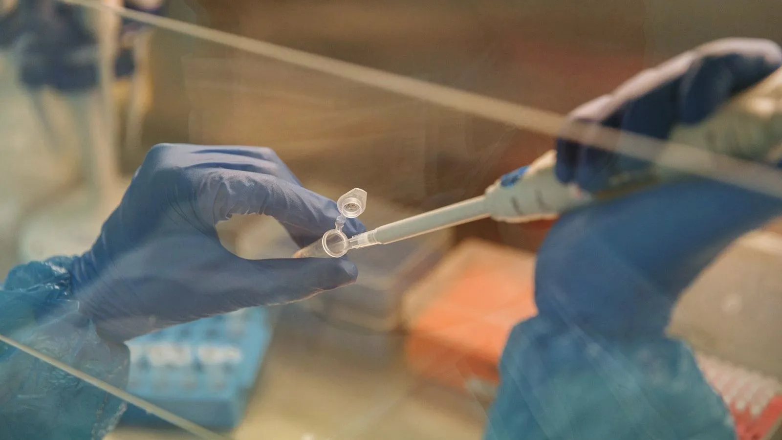 Gloved hands using a pipette behind a laboratory glass shield
