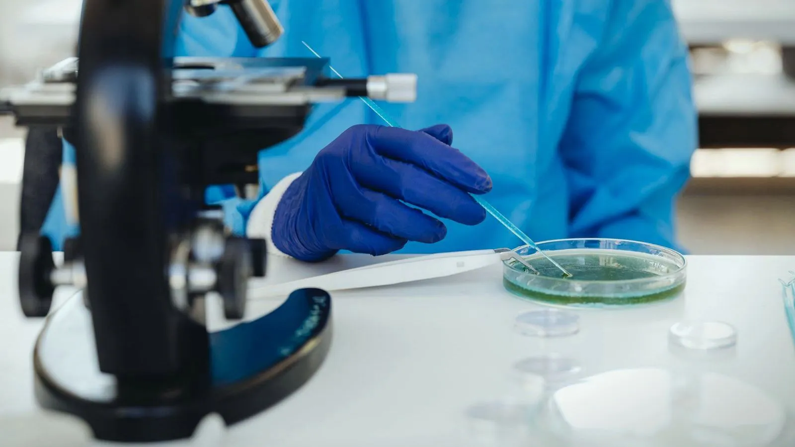 A hand in a blue glove holds a thin tool over a petri dish on a white bench beside a black microscope.