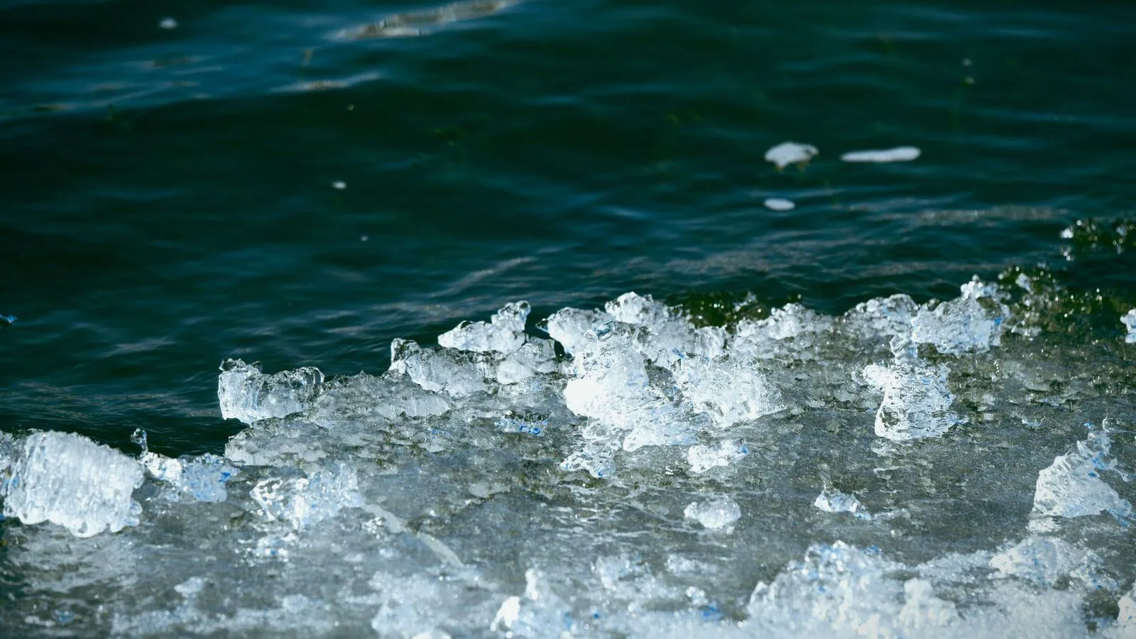 Broken sheets of ice floating at the edge of dark cold water