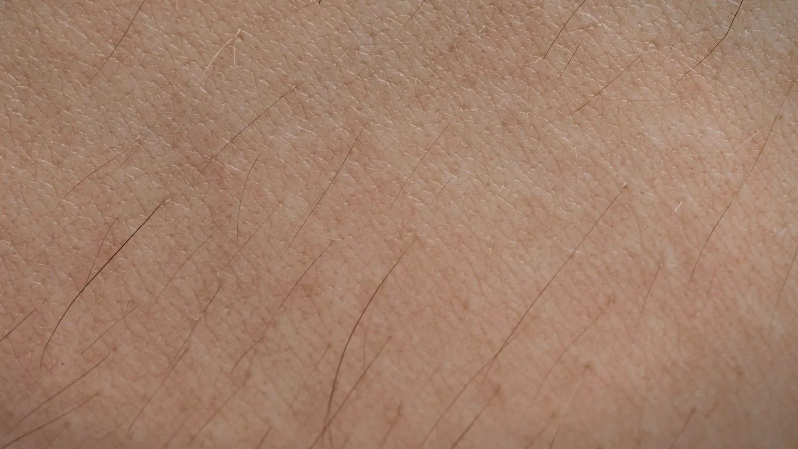 A macro close-up of human skin texture with fine hairs