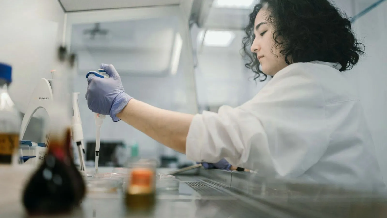 A researcher pipetting samples at a laboratory bench