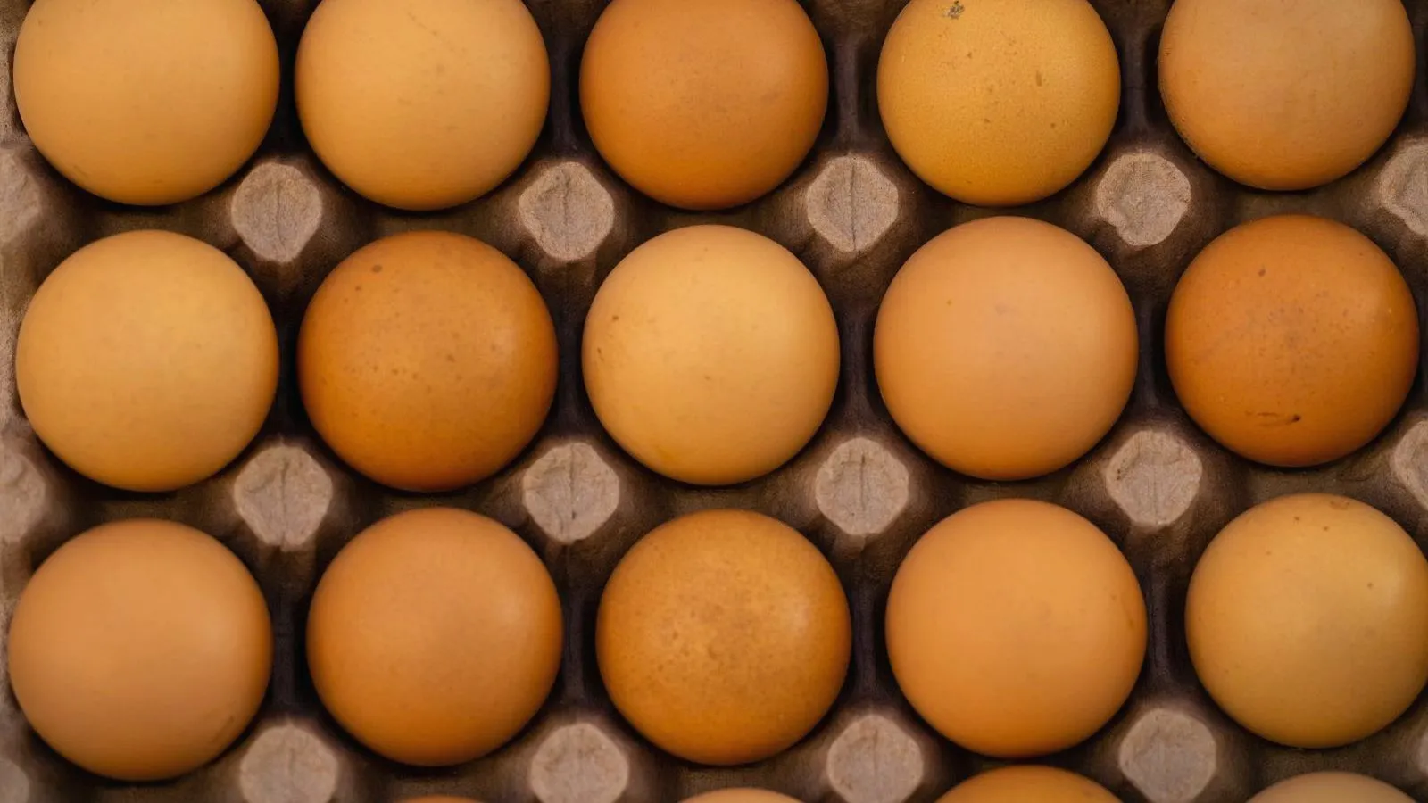 Rows of brown eggs in a cardboard tray.