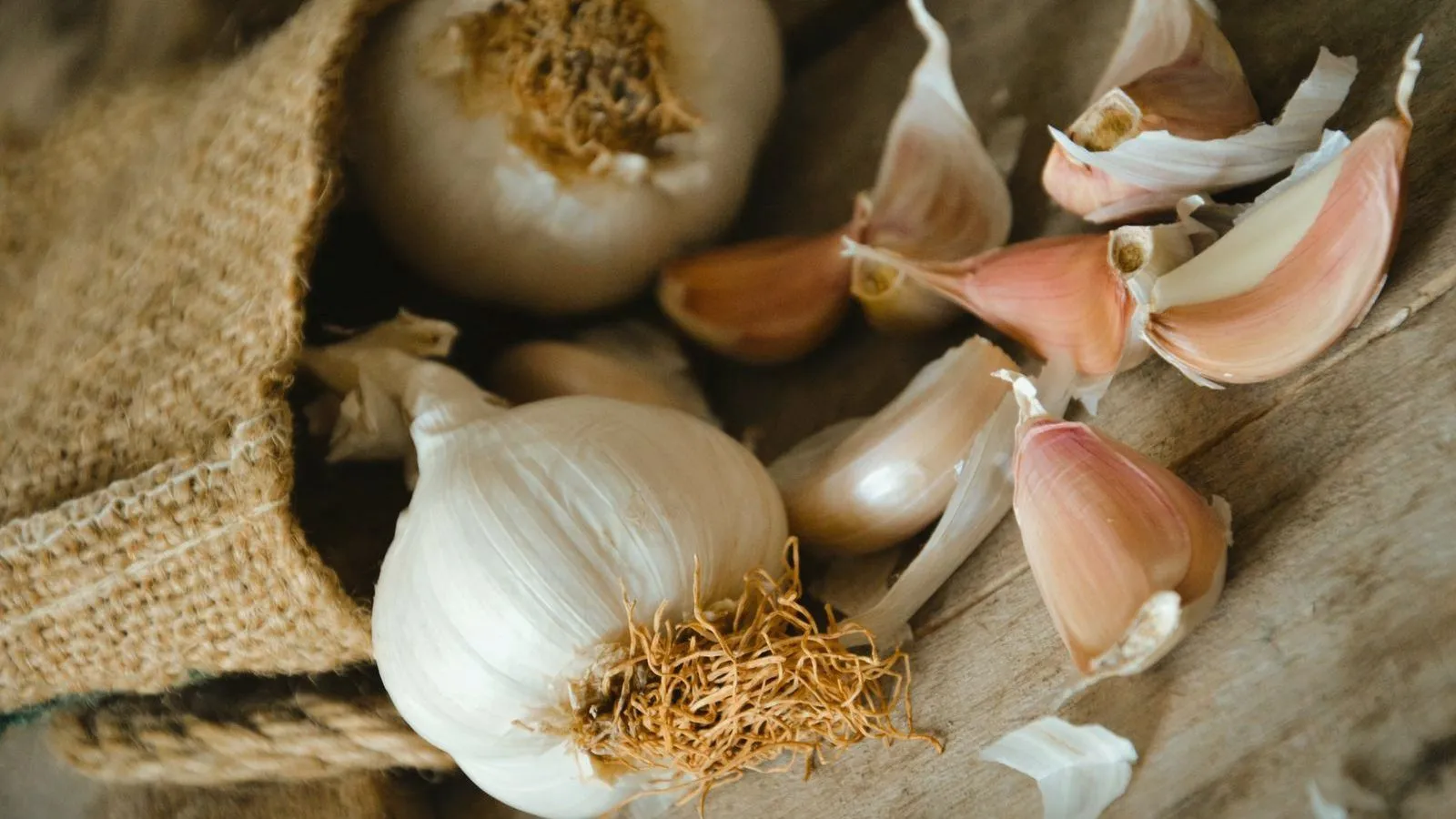 Garlic bulbs and loose pink-skinned cloves spilling from a hessian sack onto a wooden surface