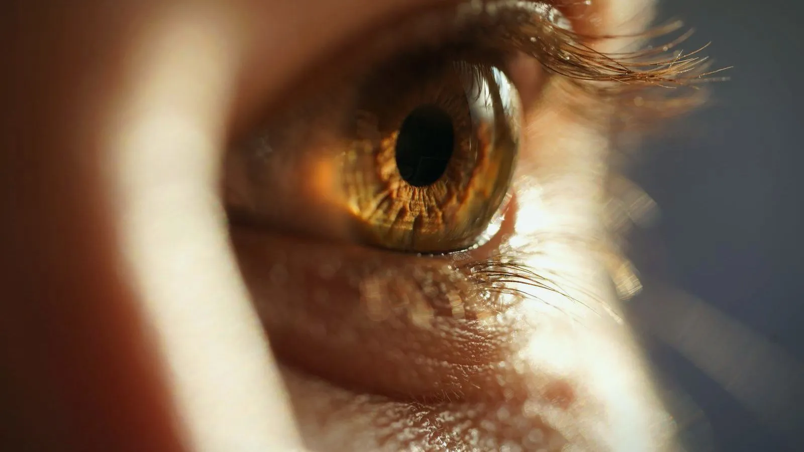 A close-up of an eye lit by a narrow band of light, iris and lashes in sharp detail
