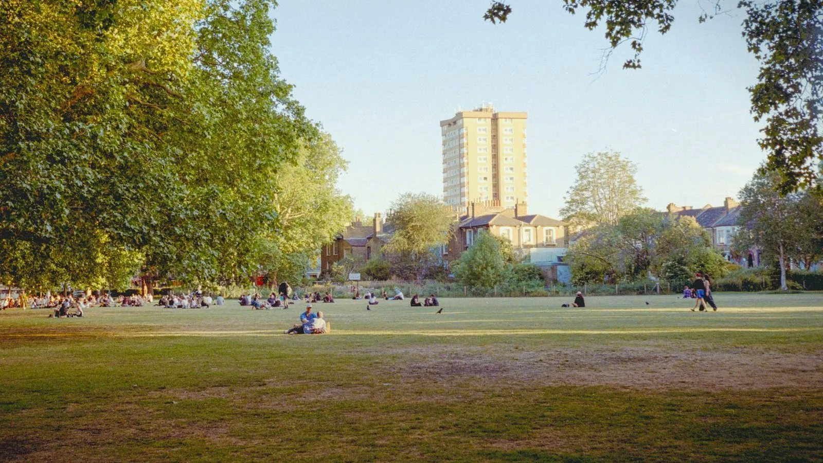 People sitting on a wide lawn in a city park, with houses and a tower block beyond