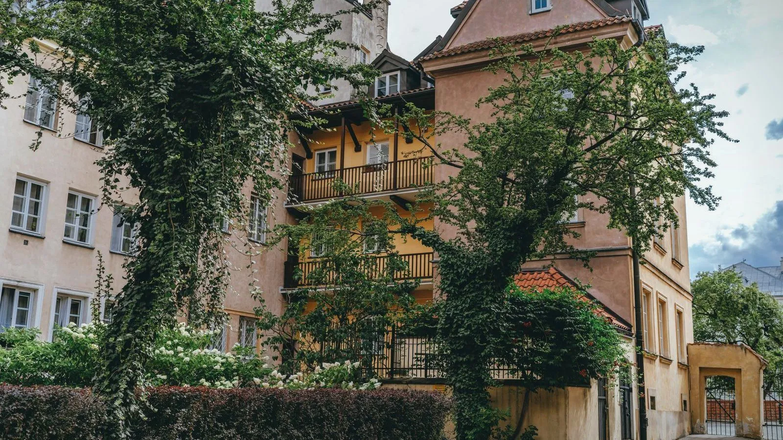 Old apartment buildings on a city street, with tall trees and climbing plants growing against the walls.