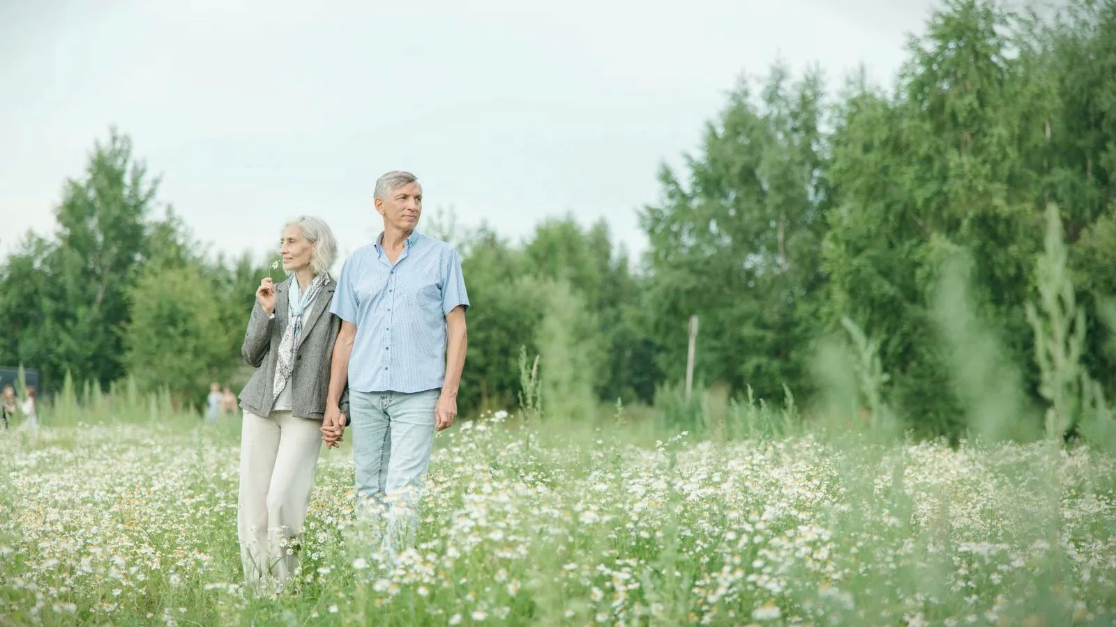 An older couple walking together through a meadow of wildflowers