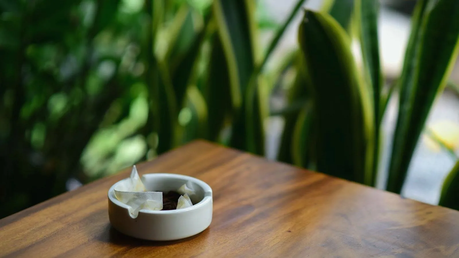 A small white ashtray on a wooden table, with plants blurred behind it