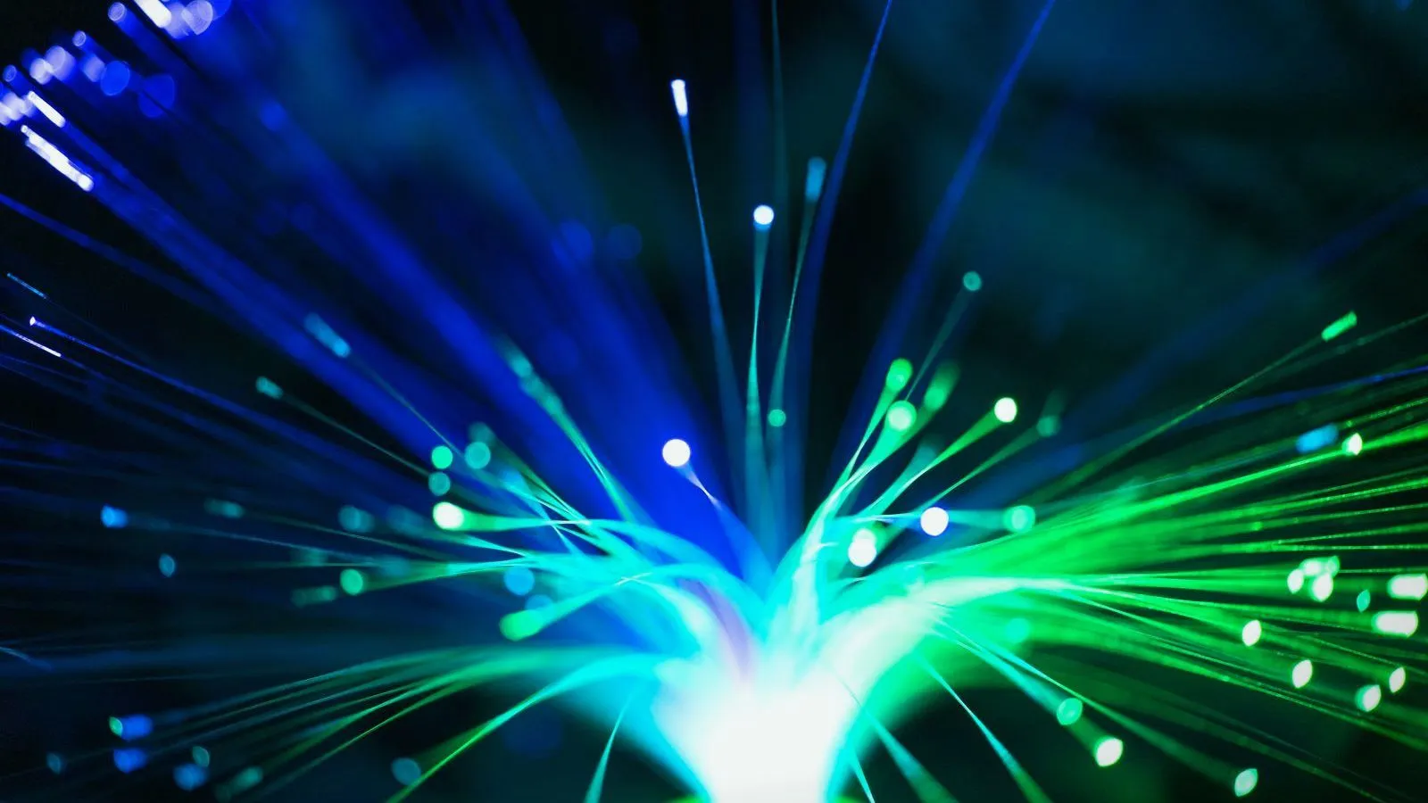 Glowing blue and green points of light at the tips of fanned-out optical fibers against a dark background.
