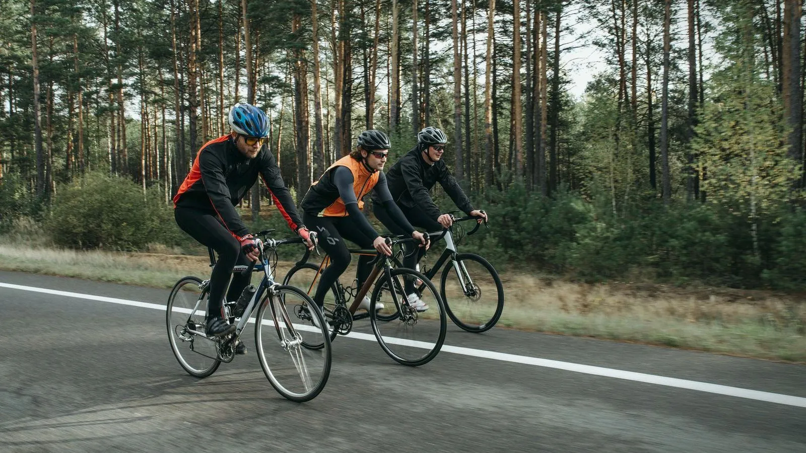 Three cyclists in helmets and dark jackets ride in a line along a road through a pine forest.