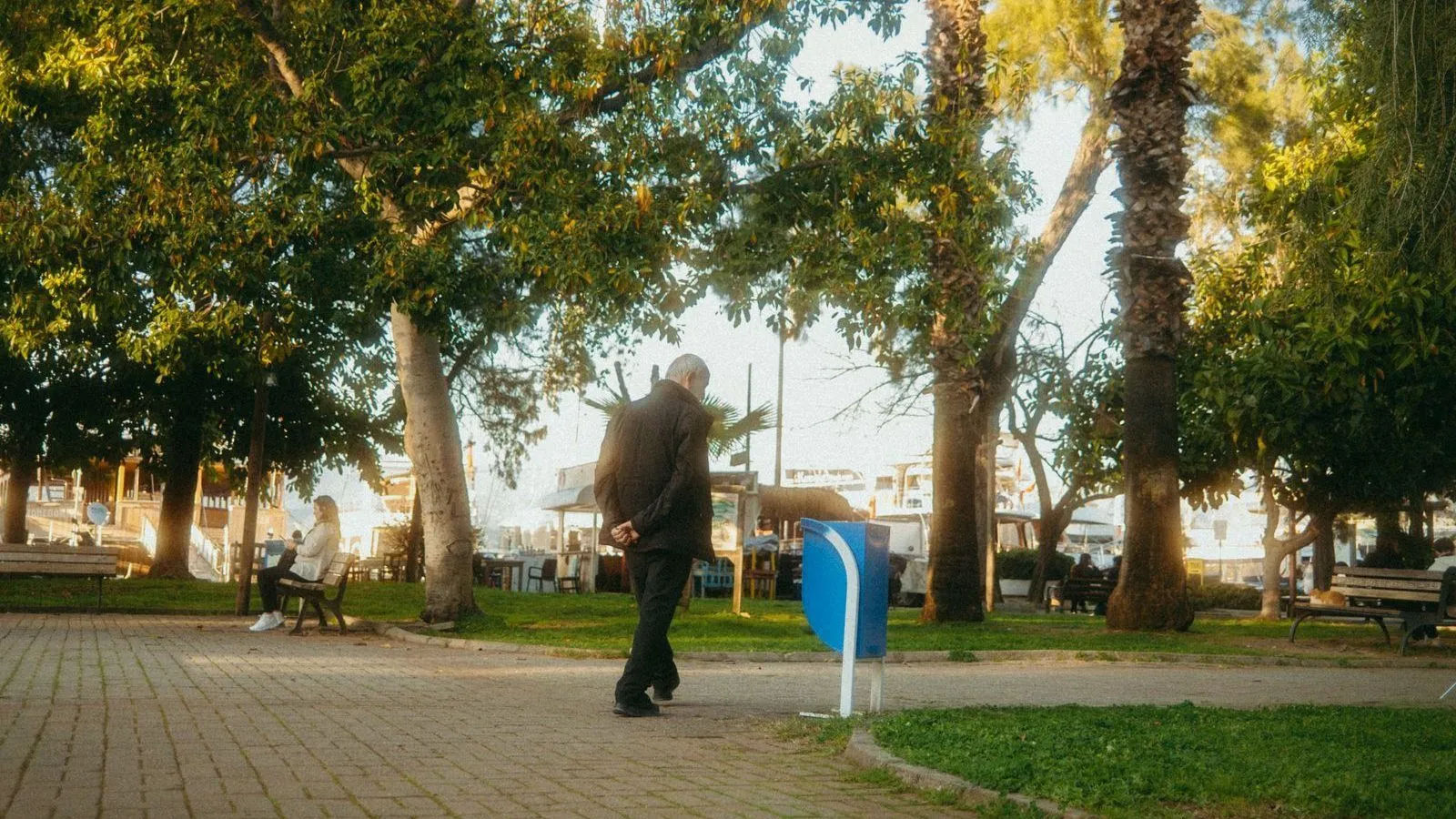 A person in a dark coat walking along a brick path in a park under tall trees.