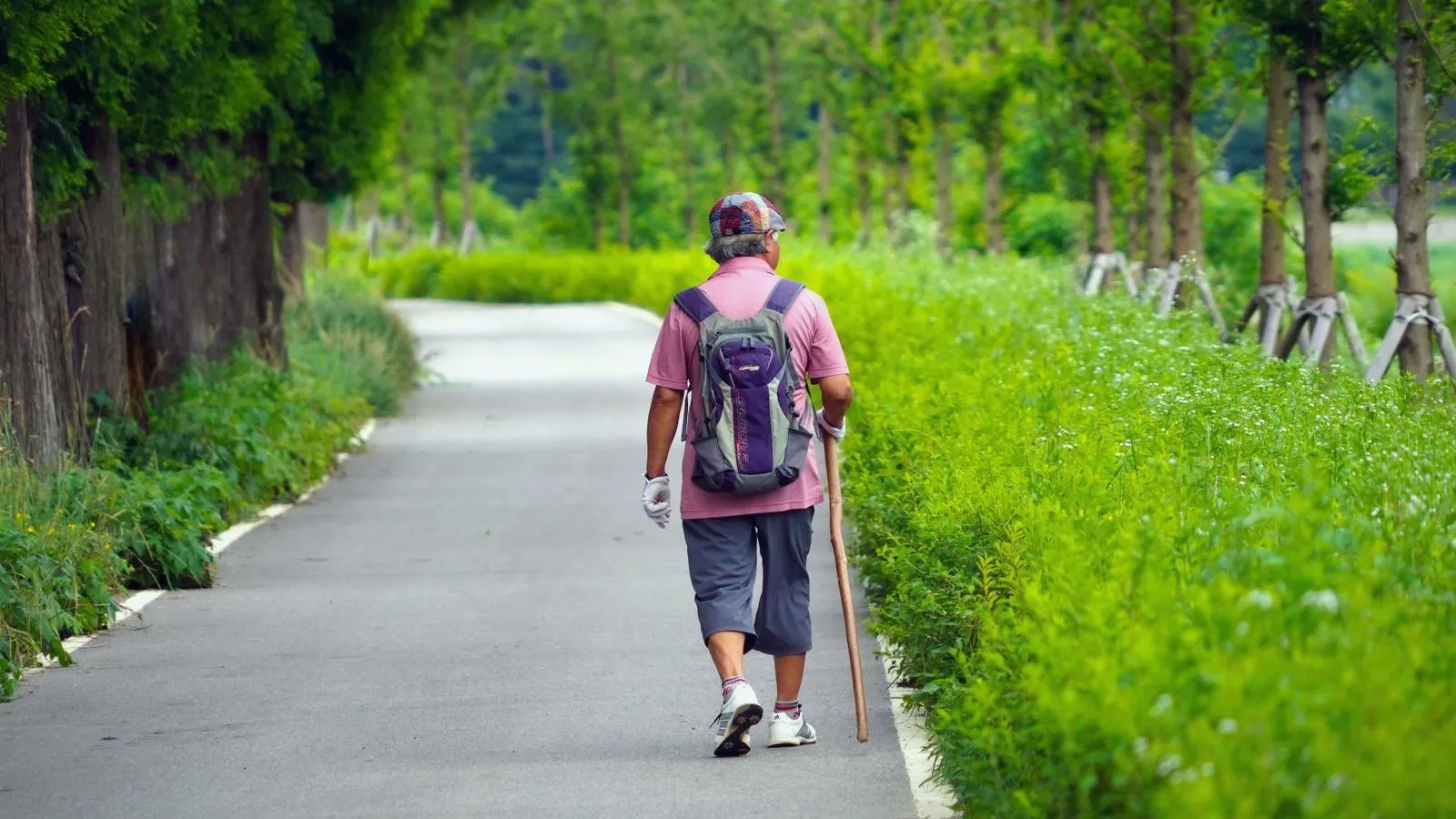A person in a cap, pink shirt and shorts walks away along a tree-lined park path with a backpack and a walking stick.