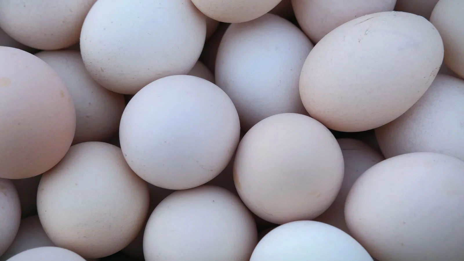 A close-up of many fresh eggs