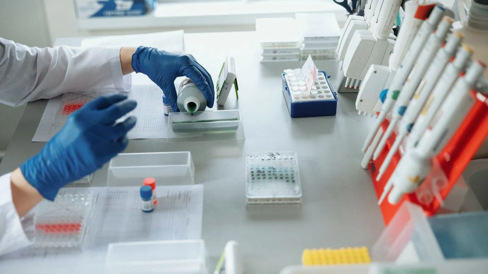 Gloved hands at a laboratory bench, working with slides among racks of pipettes