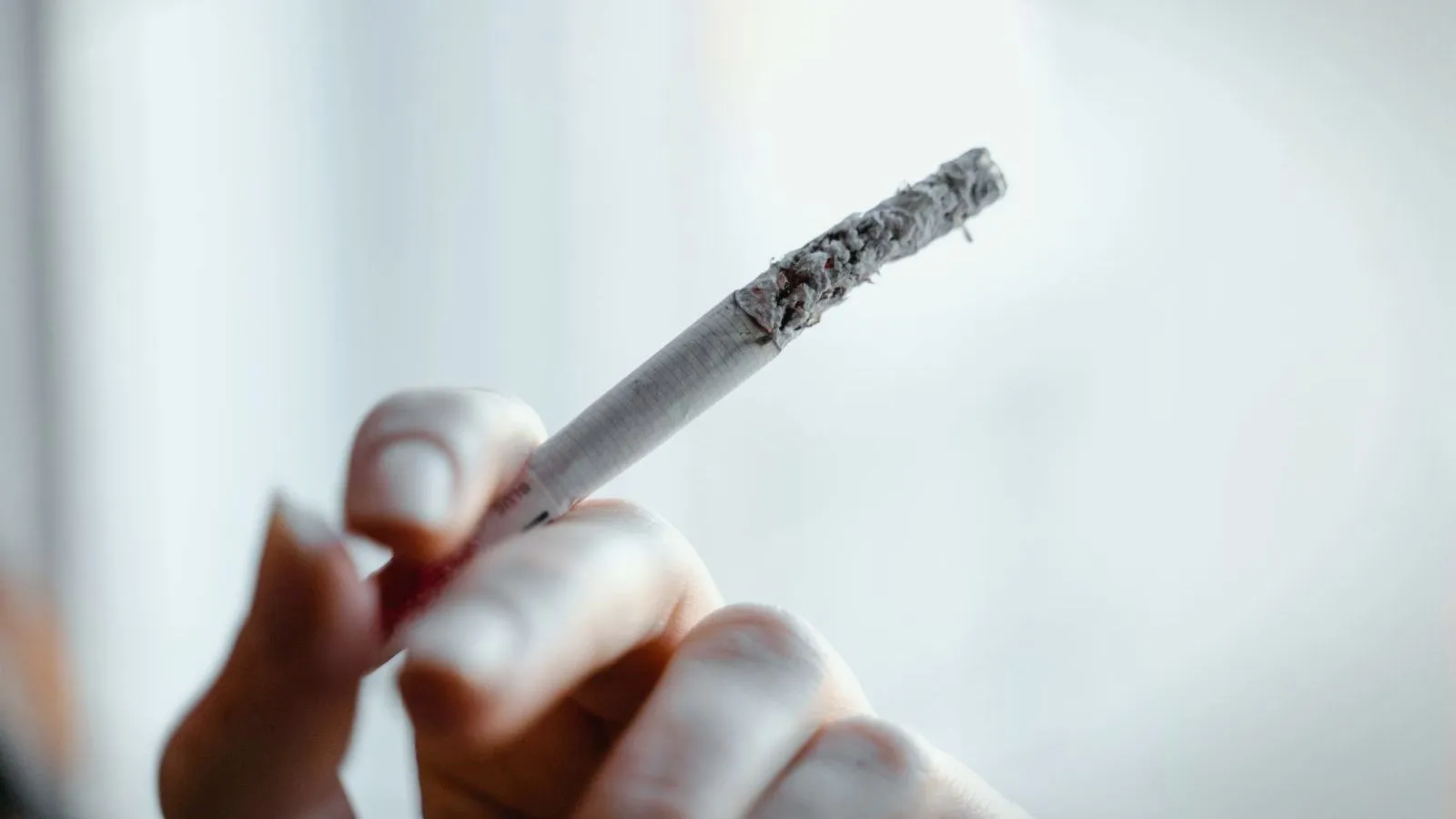 Fingers hold a cigarette burned down to a long column of ash against a pale background.