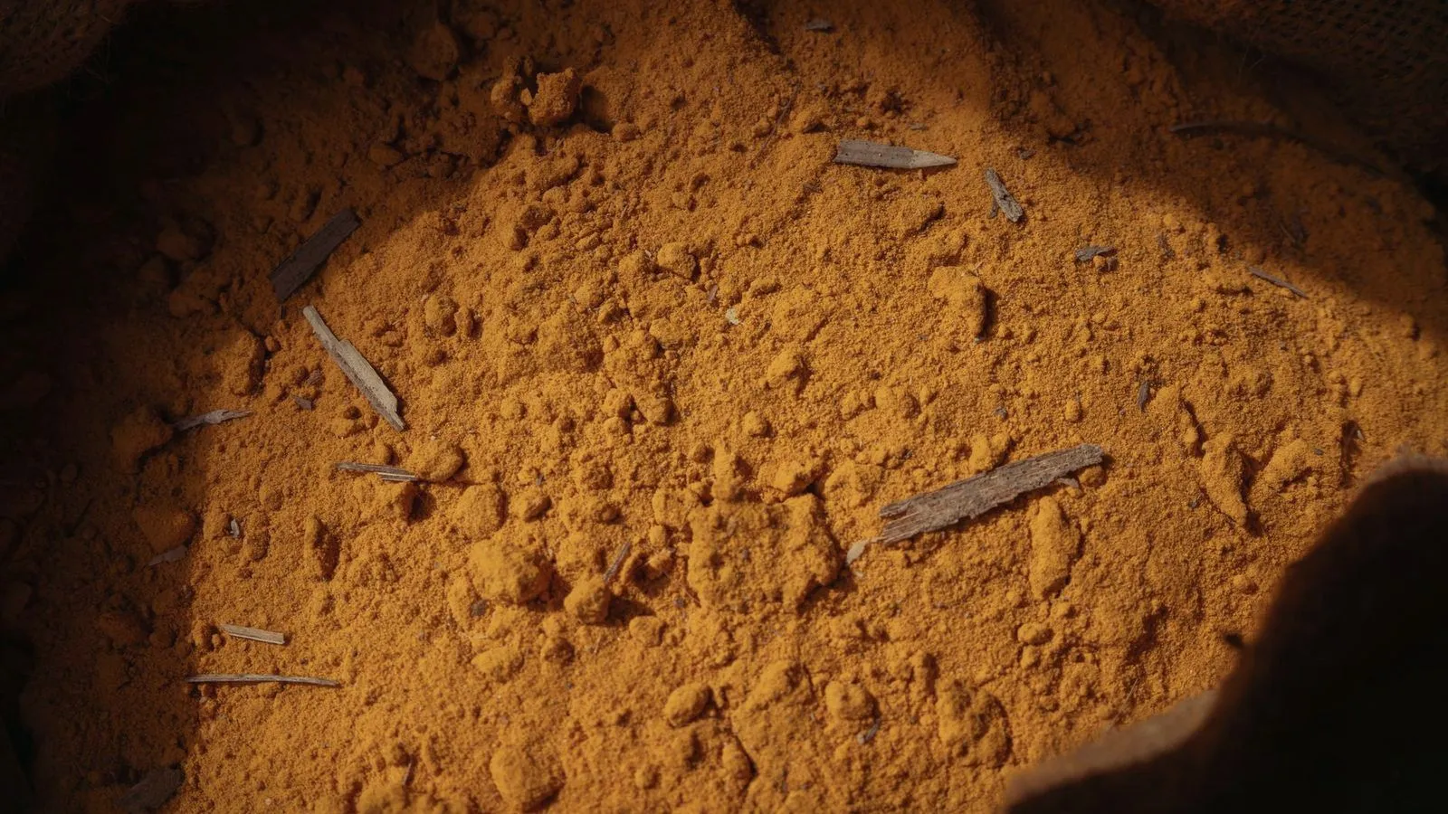Ground turmeric filling an open sack, with fragments of dried root through it